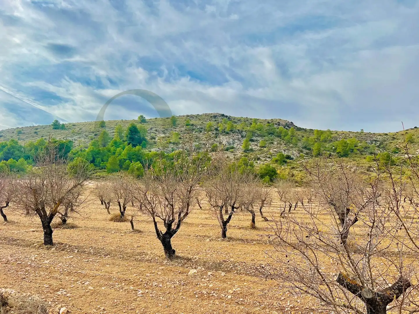 Residencial en venta en Villena