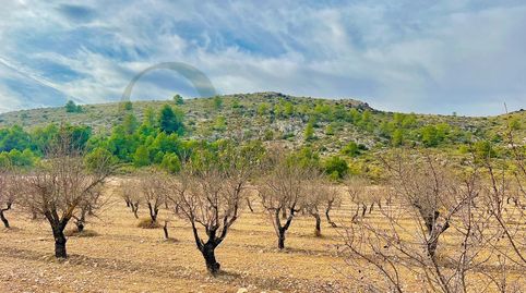 Foto 4 de Residencial en venta en Las Virtudes, Villena