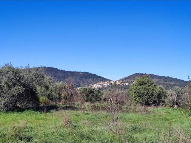 Terreno en Venta en Carretera de Artasona, SN en El Grado