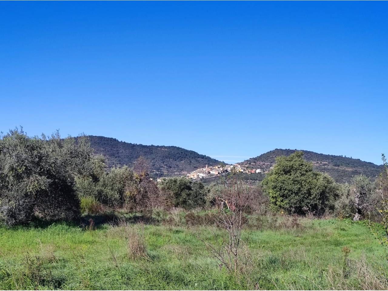 Land for sale in El Grado