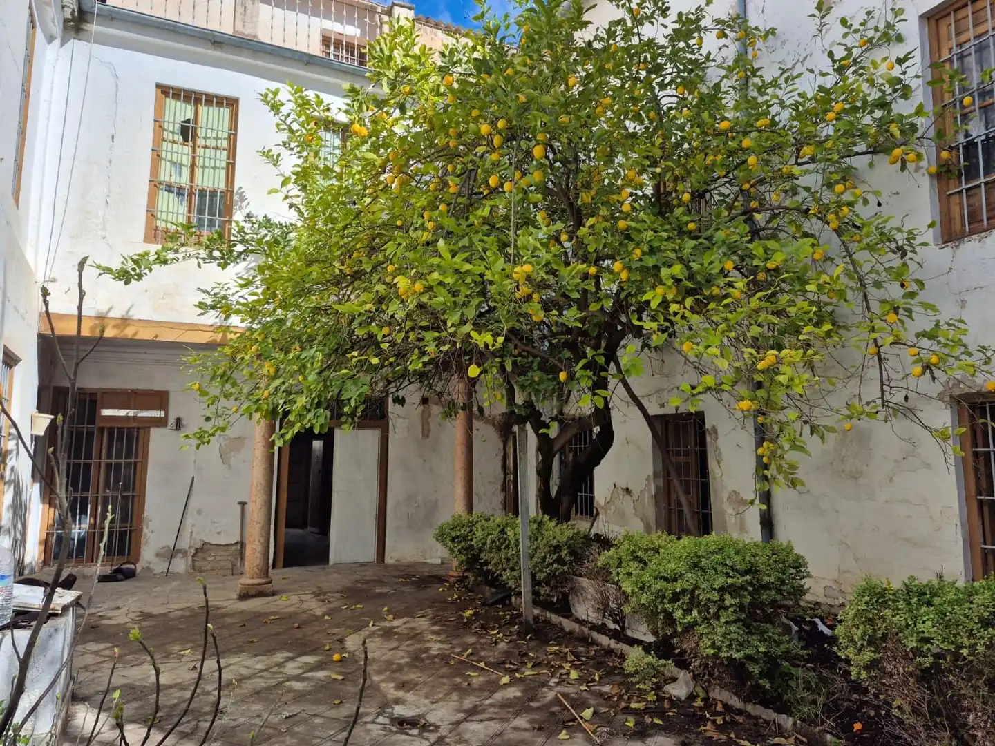 Garden of Detached homes for sale in Loja  with Terrace