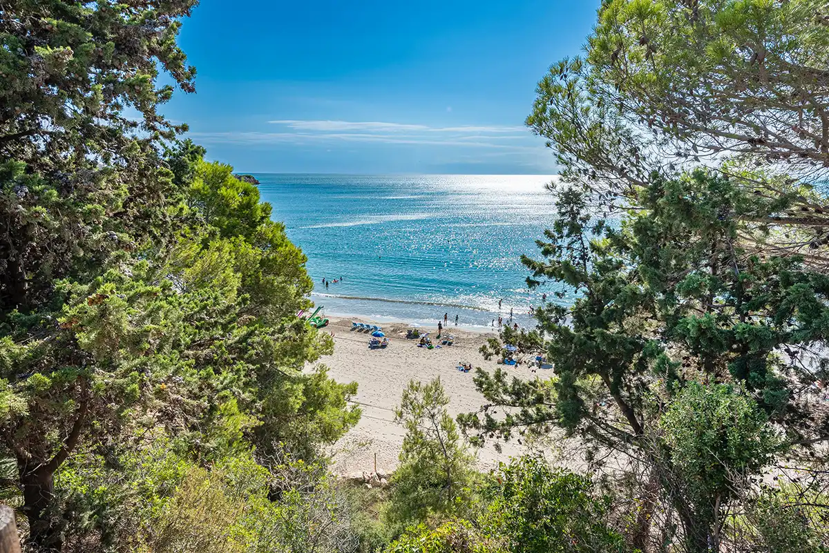 Exterior view of Land for sale in El Perelló