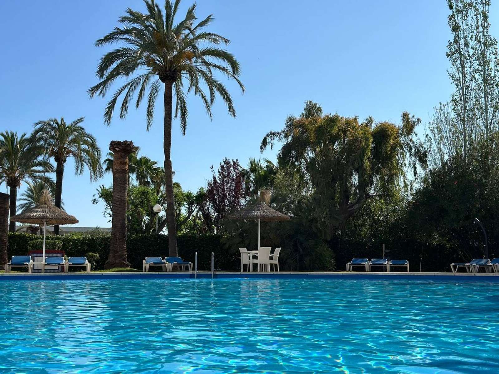 Piscina de Apartament per a compartir en Alcúdia amb Aire condicionat i Terrassa
