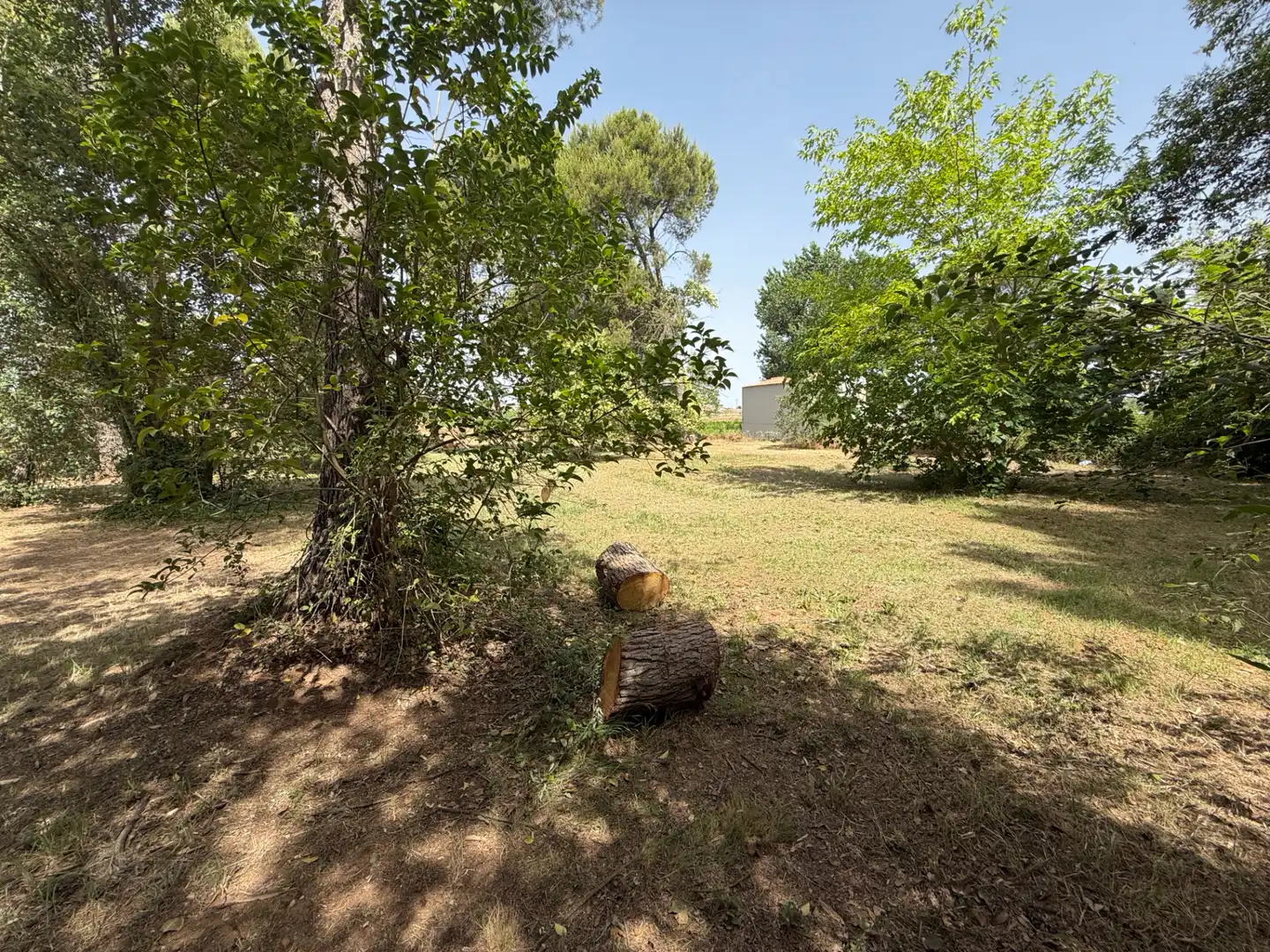 Residencial en venda a Camí de Lleida, 14, Els Alamús