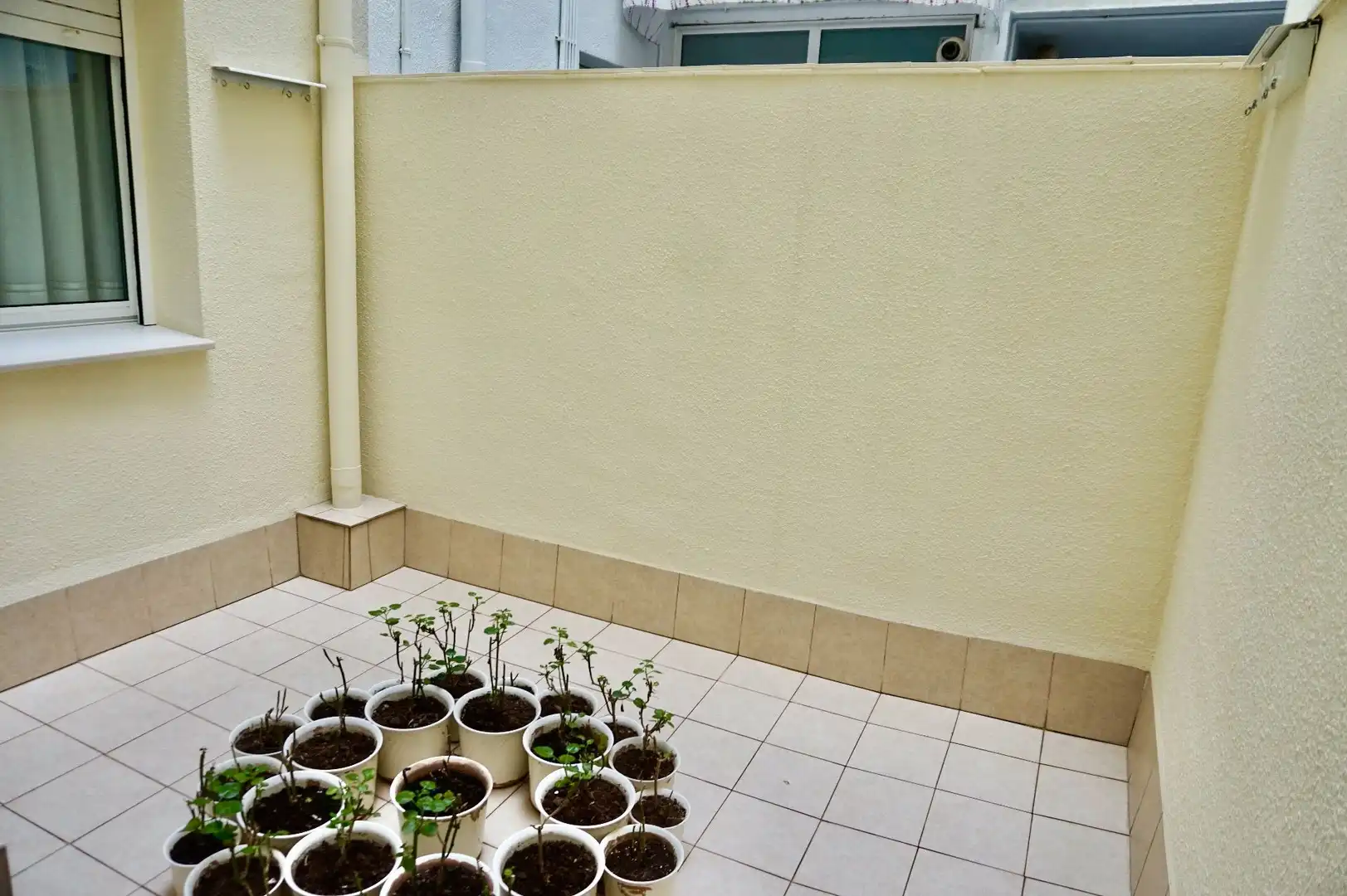 Wohnung mit Pool zum Verkauf in Sant Joan Baptista La Salle, imagen 15