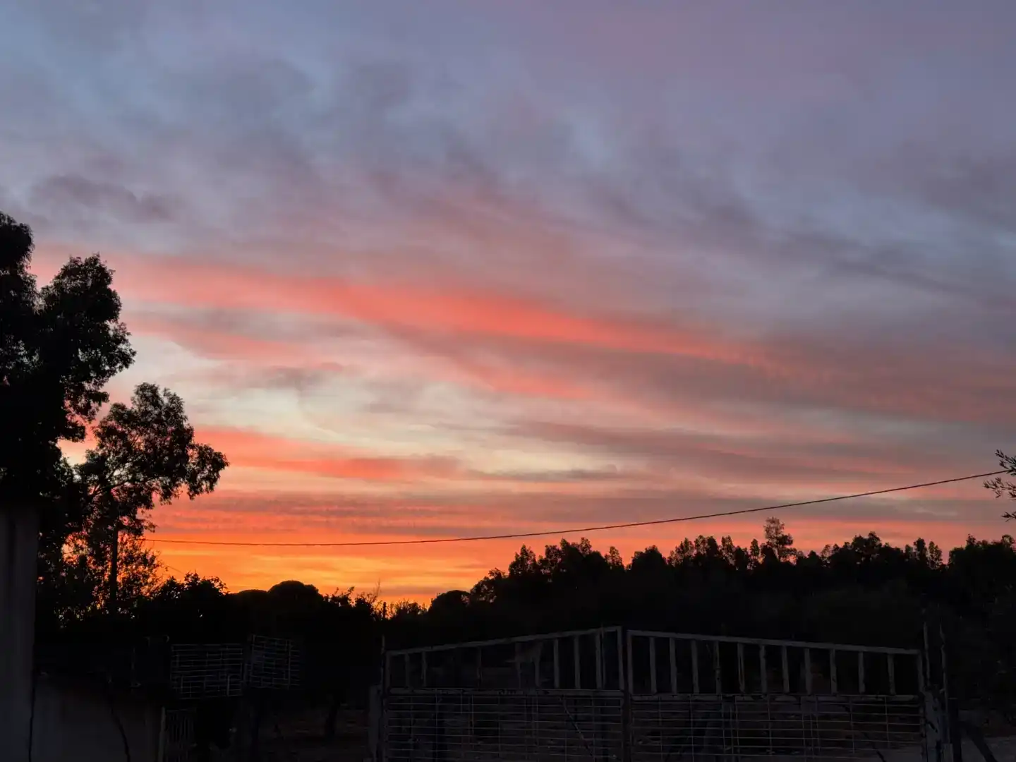 Vista exterior de Finca rústica en venda en Marchena amb Aire condicionat i Piscina