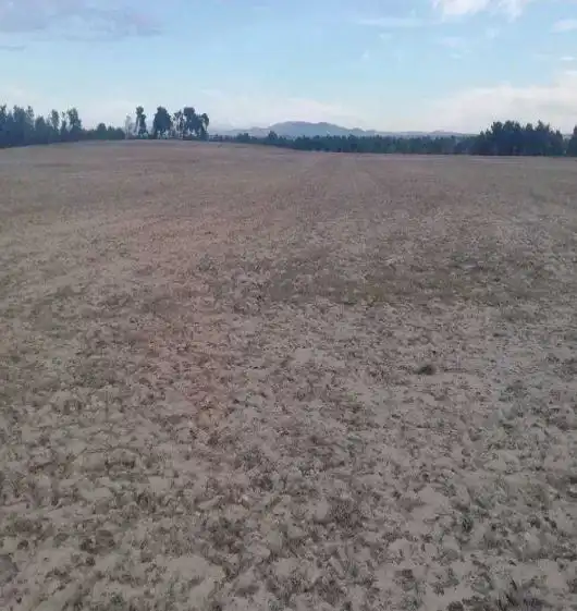 Terreni e lotti in vendita a Villanueva de Gómez, imagen 6