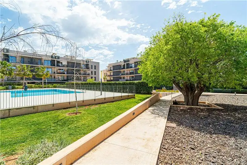 Piscina de Planta baixa en venda en  Palma de Mallorca amb Aire condicionat, Terrassa i Piscina comunitària