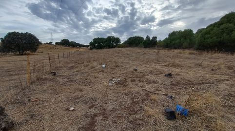 Foto 4 de Finca rústica en venta en Oeste, Mérida