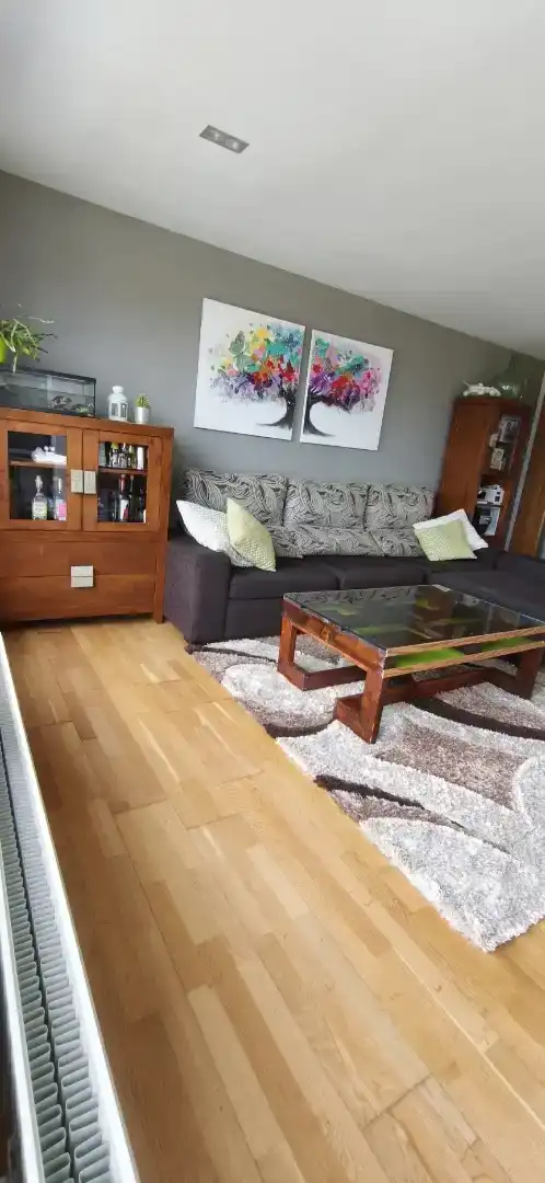 Living room of Flat for sale in Boqueixón  with Parquet flooring, Storage room and Furnished