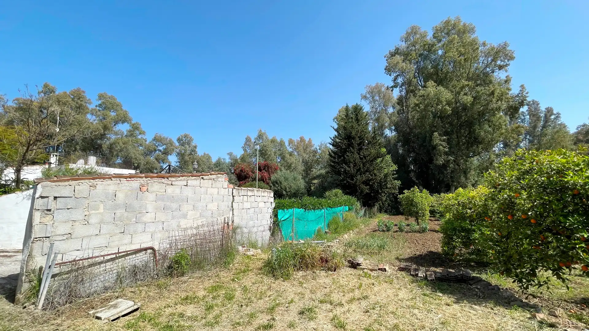 Houses for sale in Guaro