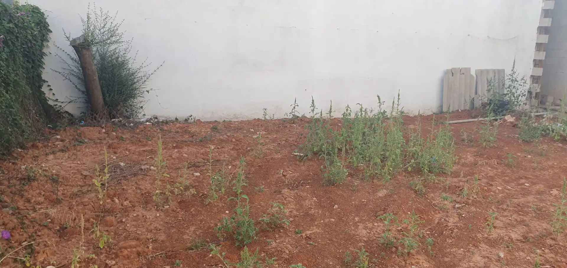 Residential land for sale in Barx, imagen 2