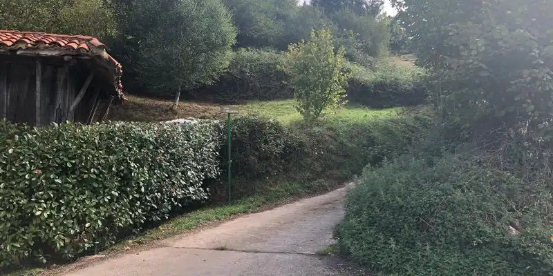 Terreno rustico in vendita a Camino DE LOS CIERROS-CALDONES, imagen 19