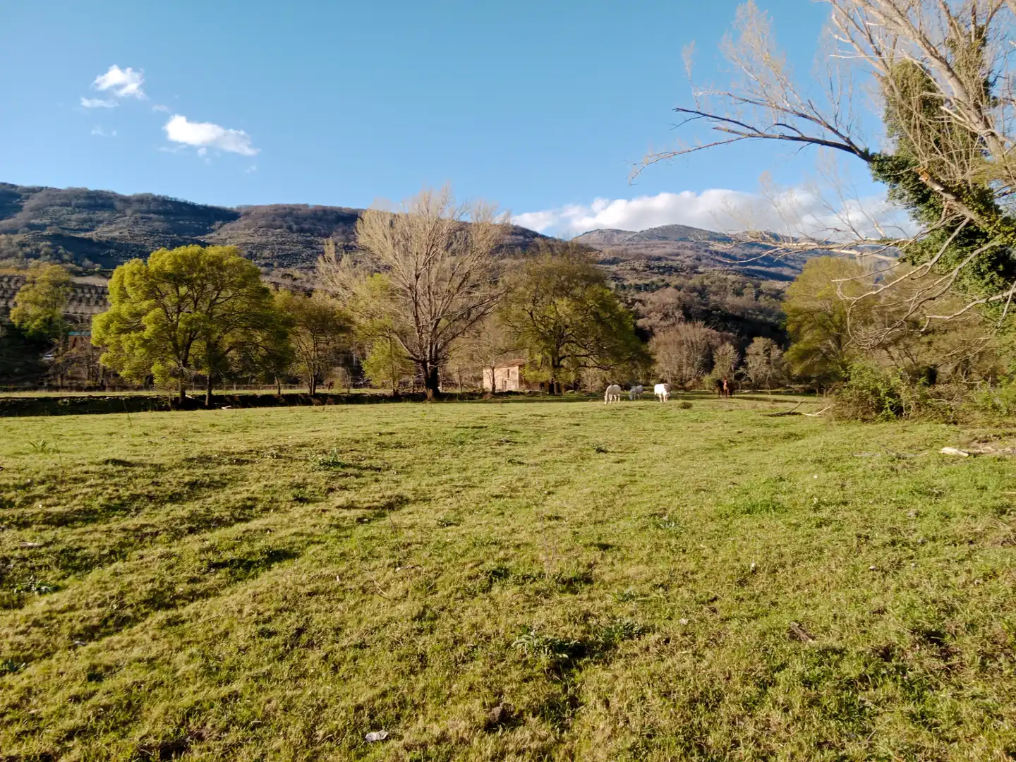 Terreno en venta en El Torno 