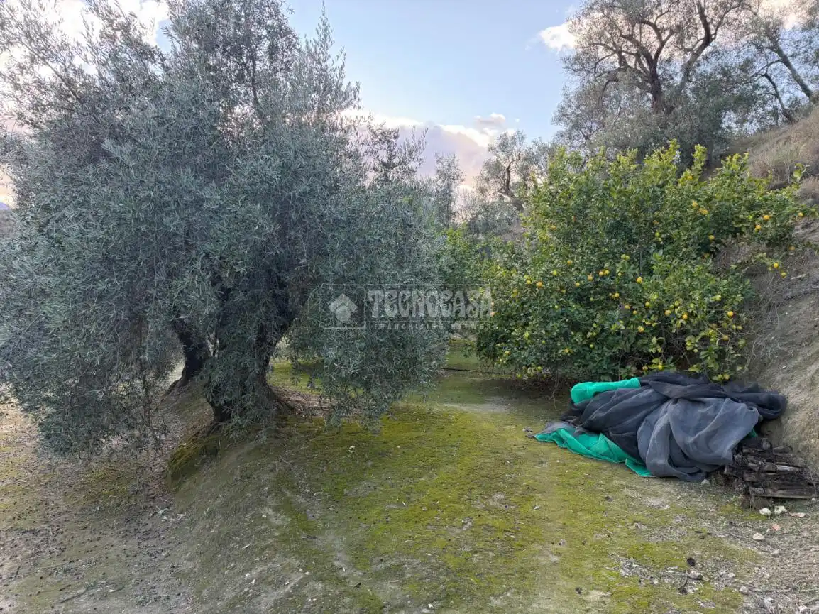 Terreno rustico in vendita a El Valle, imagen 3
