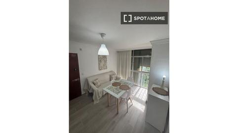 Photo 4 of Flat to share in San Pablo, Sevilla