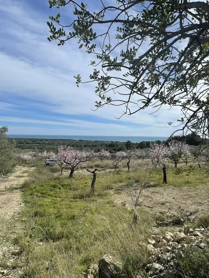 Finca rústica en venta en L'Ametlla de Mar 
