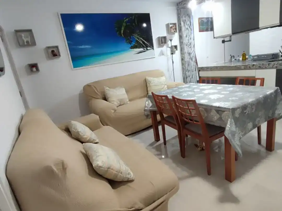 Sala de estar de Piso para compartir en Peñamefecit - Avda Barcelona