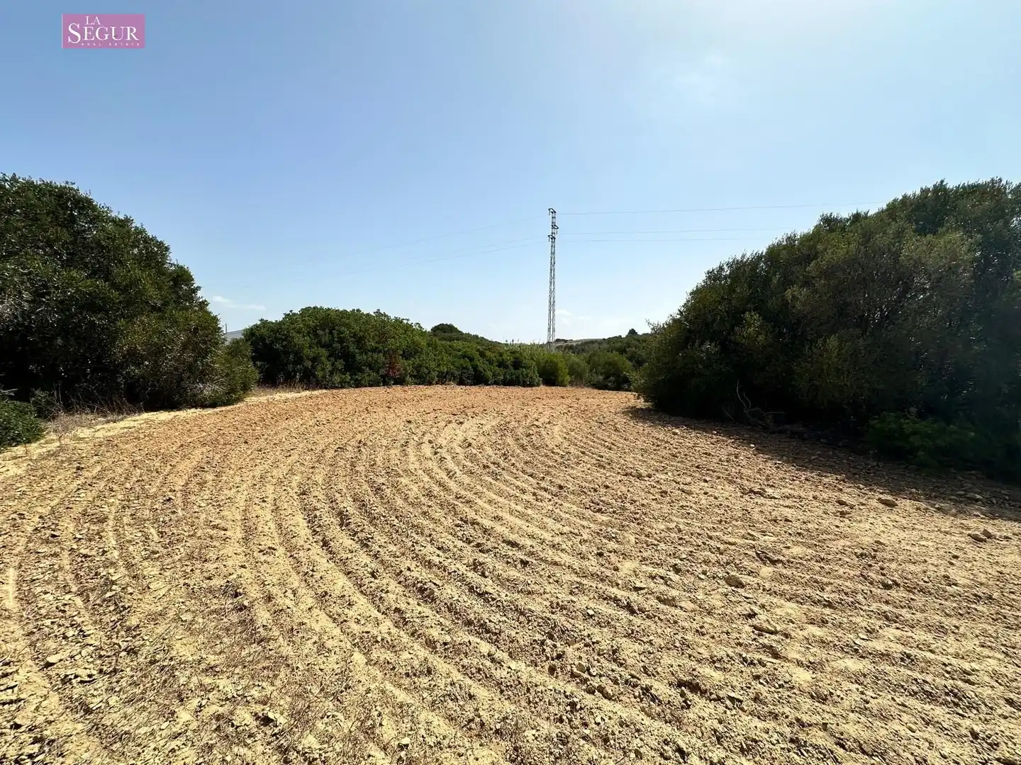 Rural land for sale in Conil, imagen 16