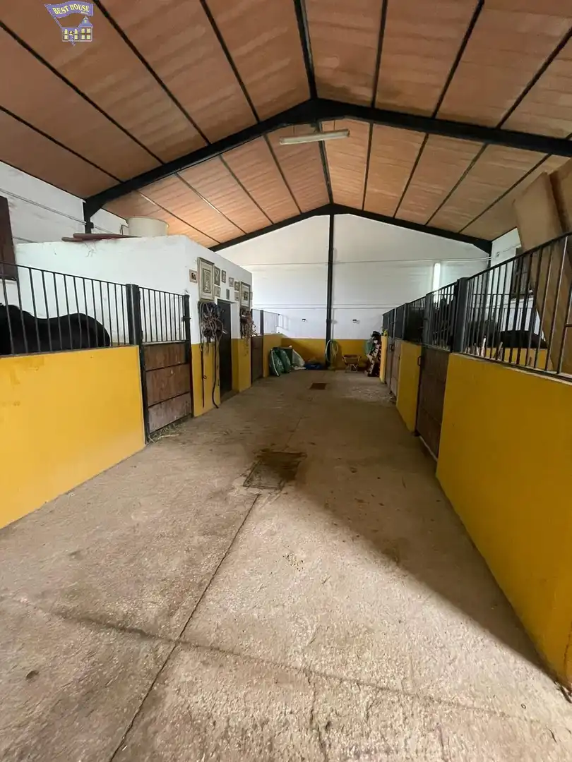 Casa rústica en venda a Arcos de la Frontera, imagen 40