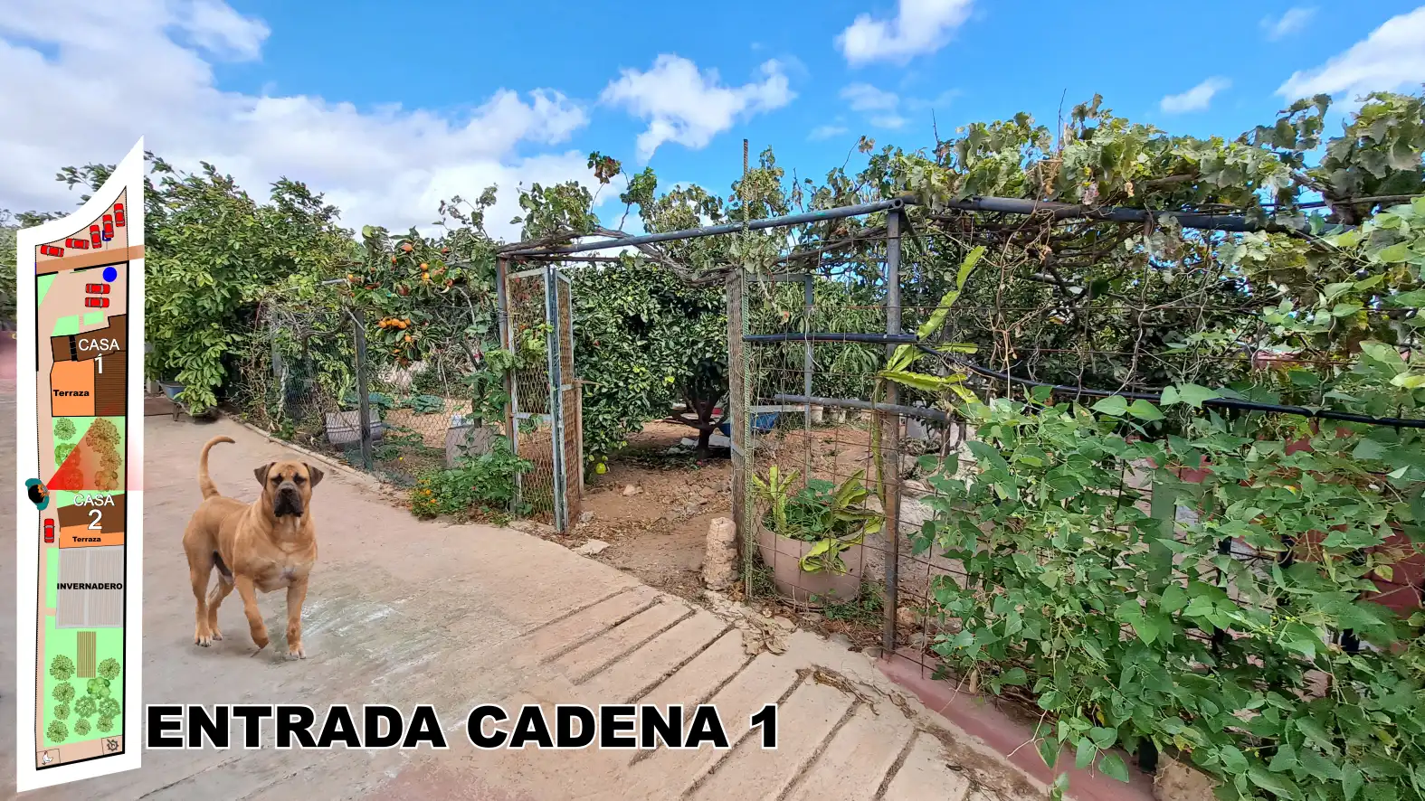 Jardín de Finca rústica en venta en Ingenio con Terraza, Horno y TV