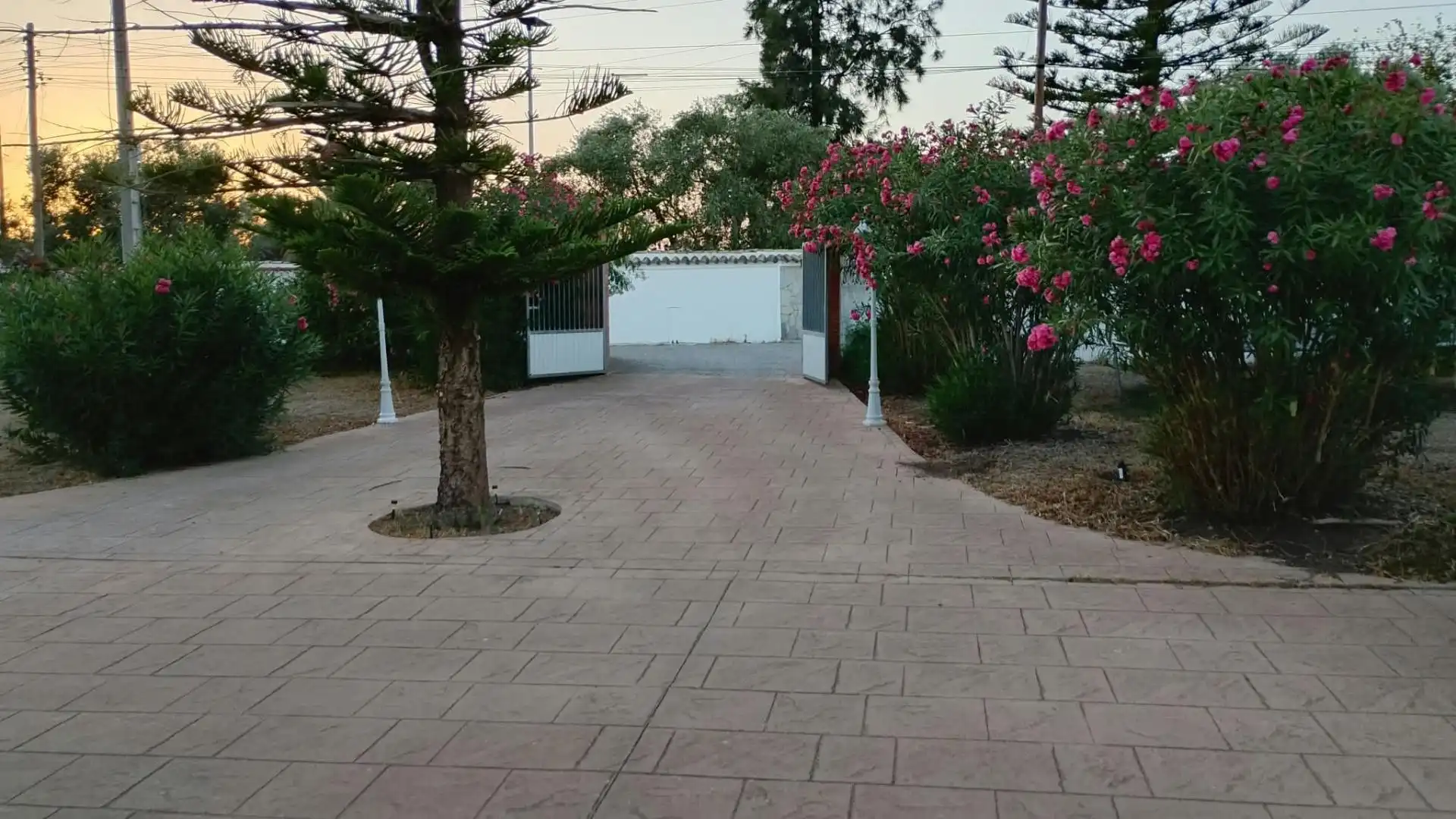 Villa zur Miete in Los Franceses – La Vega, imagen 15