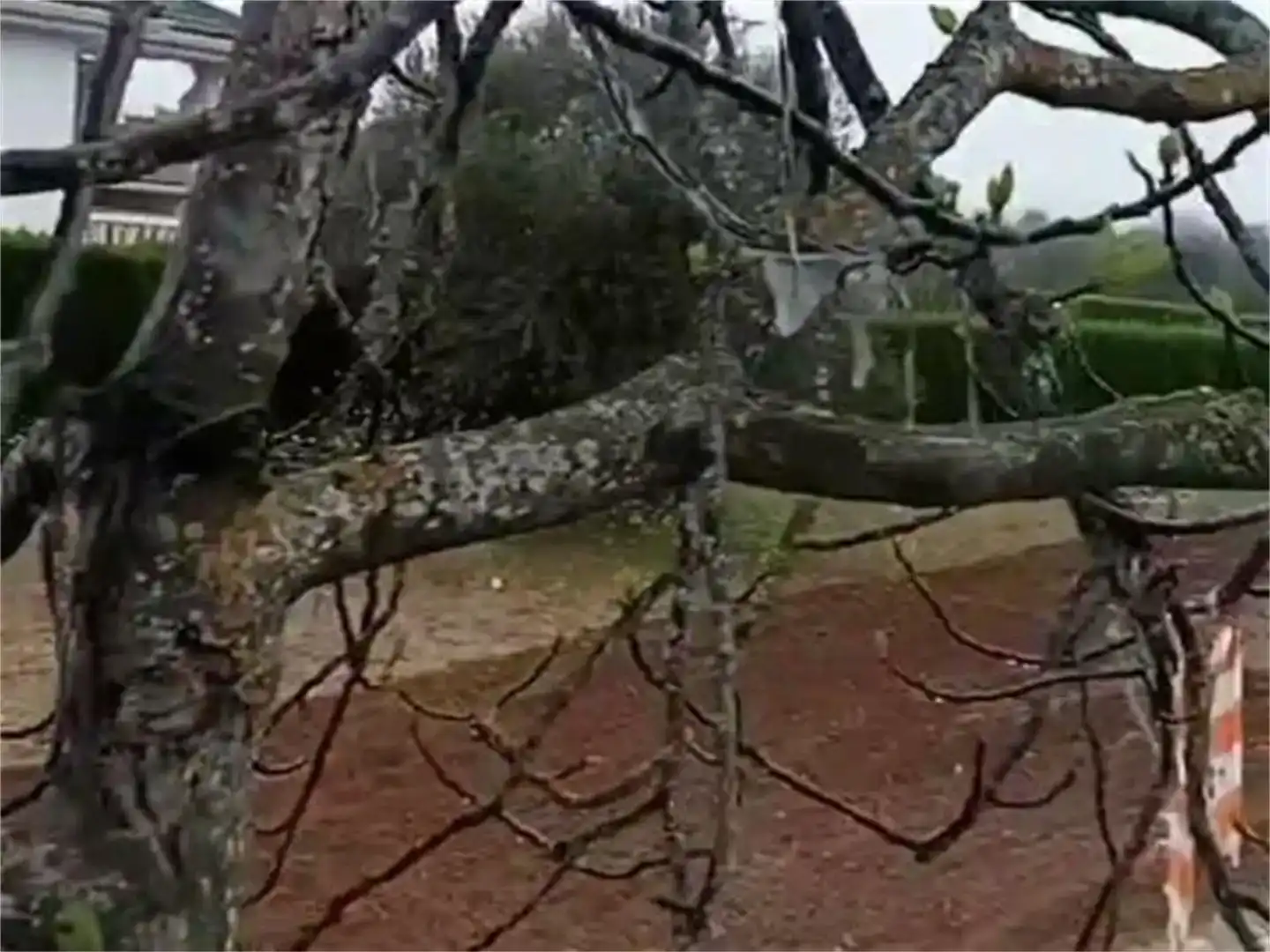 Jardí de Residencial en venda en Montearagón