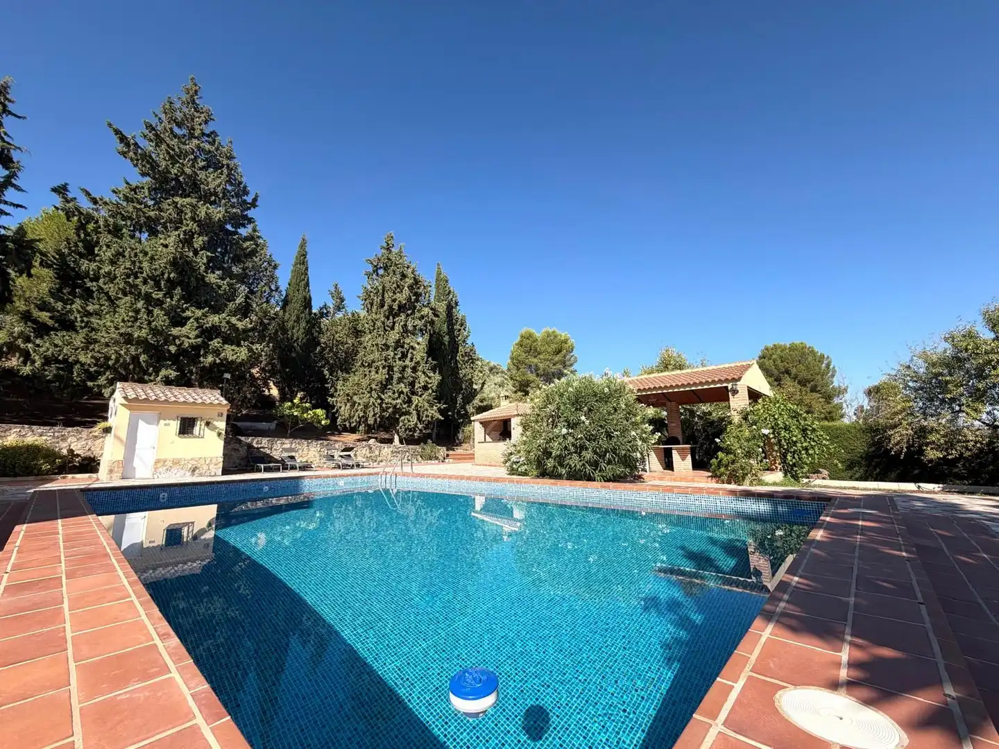 Piscina de Casa o xalet en venda en Antequera amb Jardí privat, Terrassa i Traster