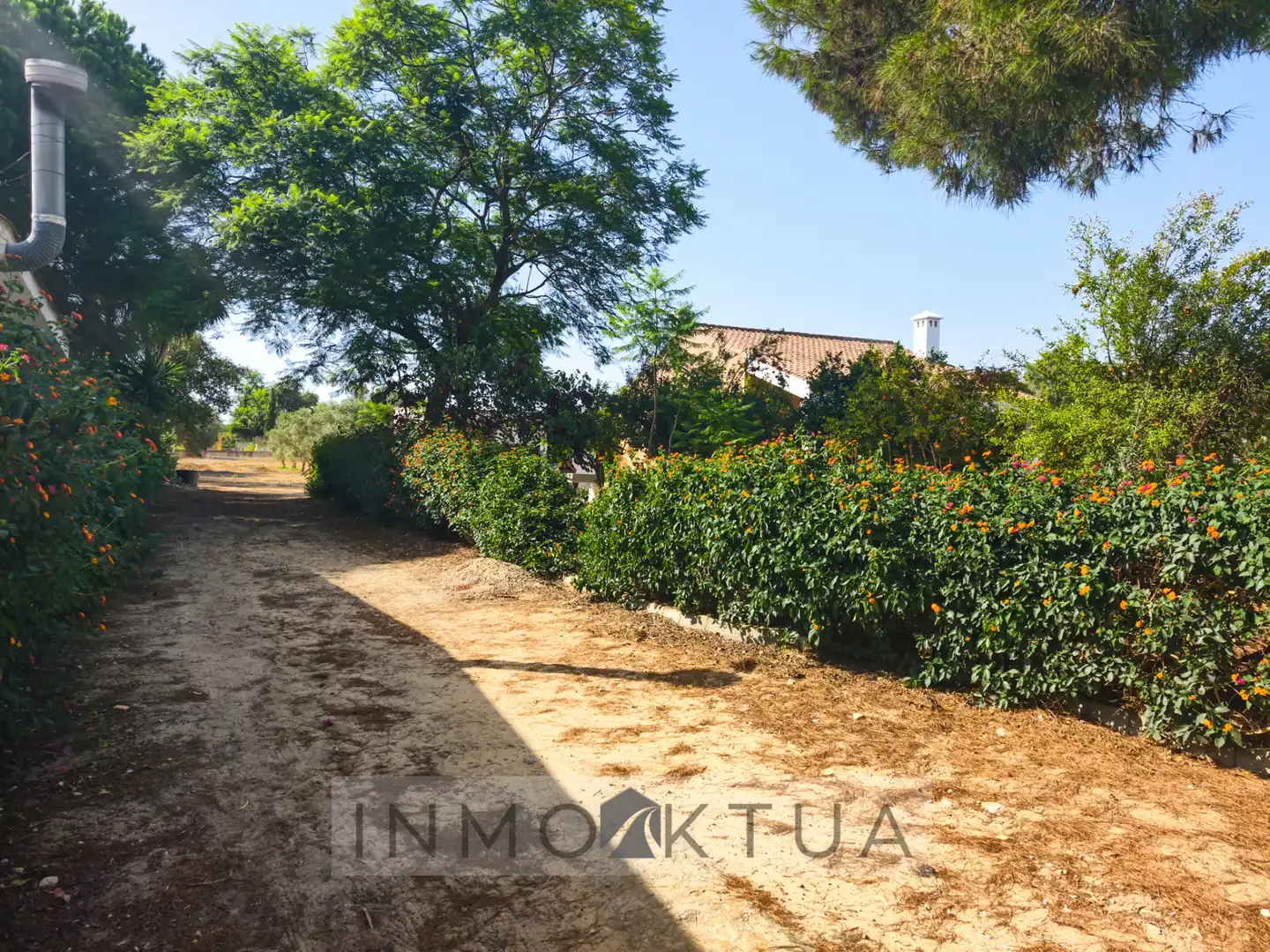 Casa rústica amb jardí en venda a Ctra Sanlúcar - Cuatro Pinos, imagen 28