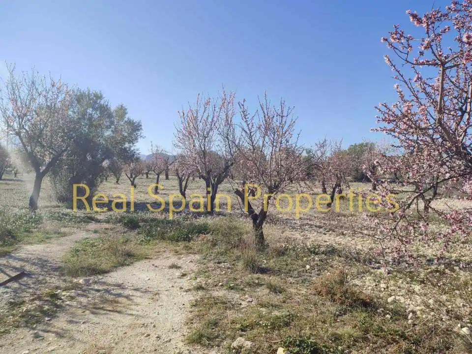 Terrenos y solares en venta en Vélez-Blanco, imagen 4