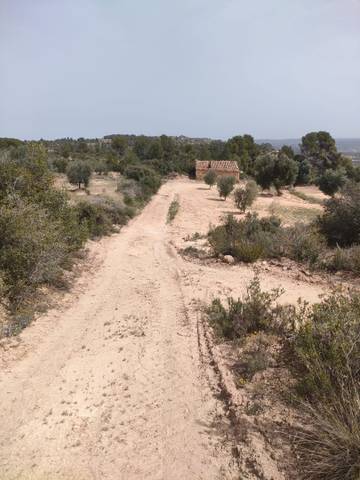 Terreno en Venta en Calaceite
