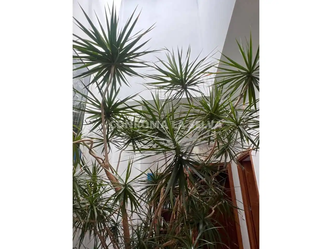 Casa amb piscina en venda a Niàgara Parc - Àgora Parc, imagen 33