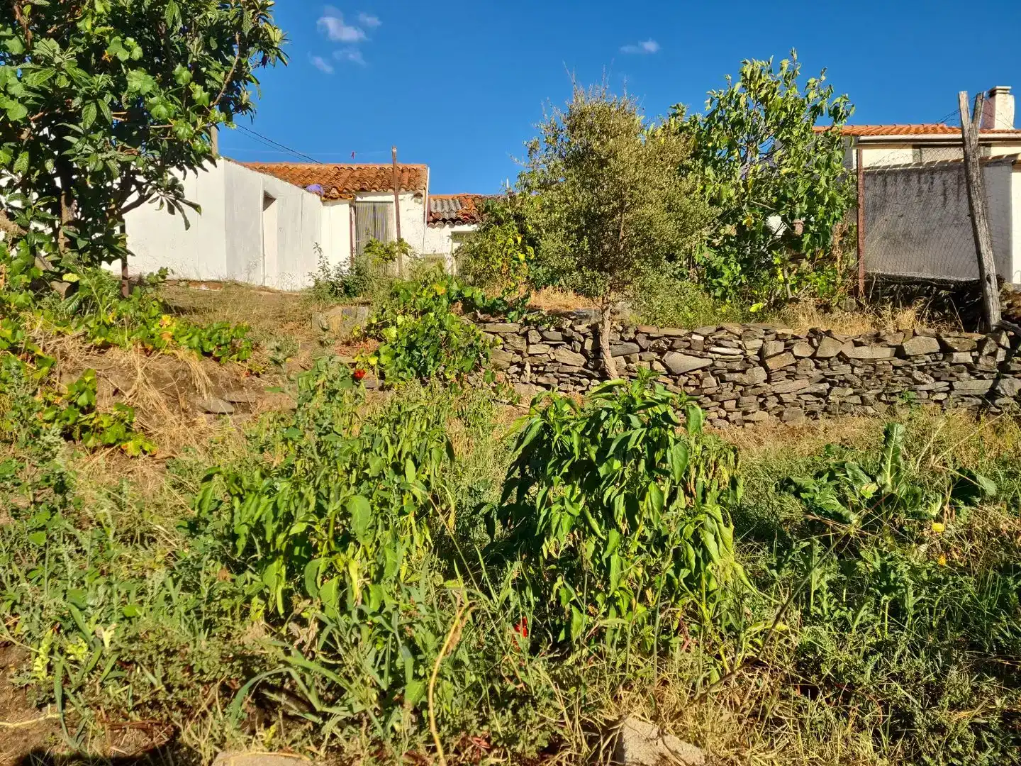 Planta baixa en venda en Valencia de Alcántara amb Aire condicionat
