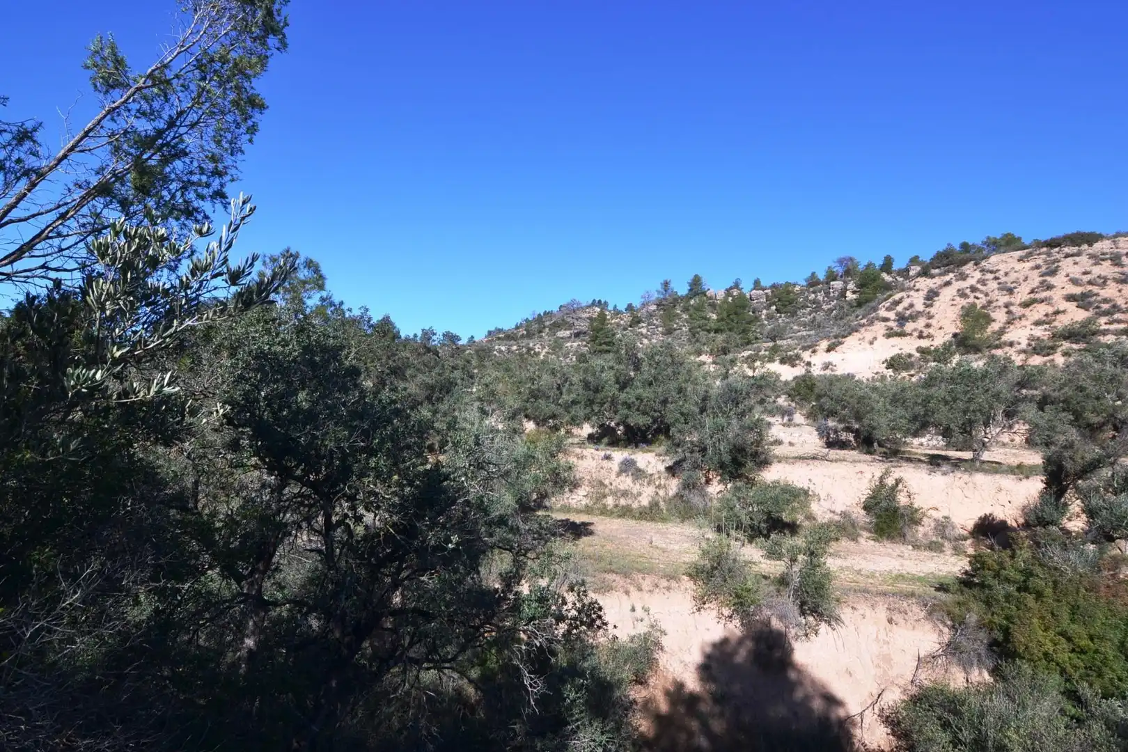 Rural land for sale in Ascó, imagen 28