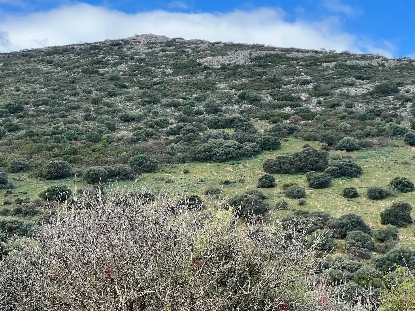 Terreno en venta en Jaén