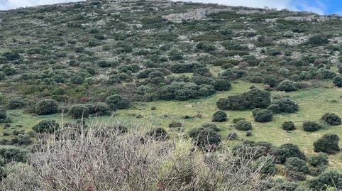 Photo 4 of Land for sale in Jabalcuz, Jaén