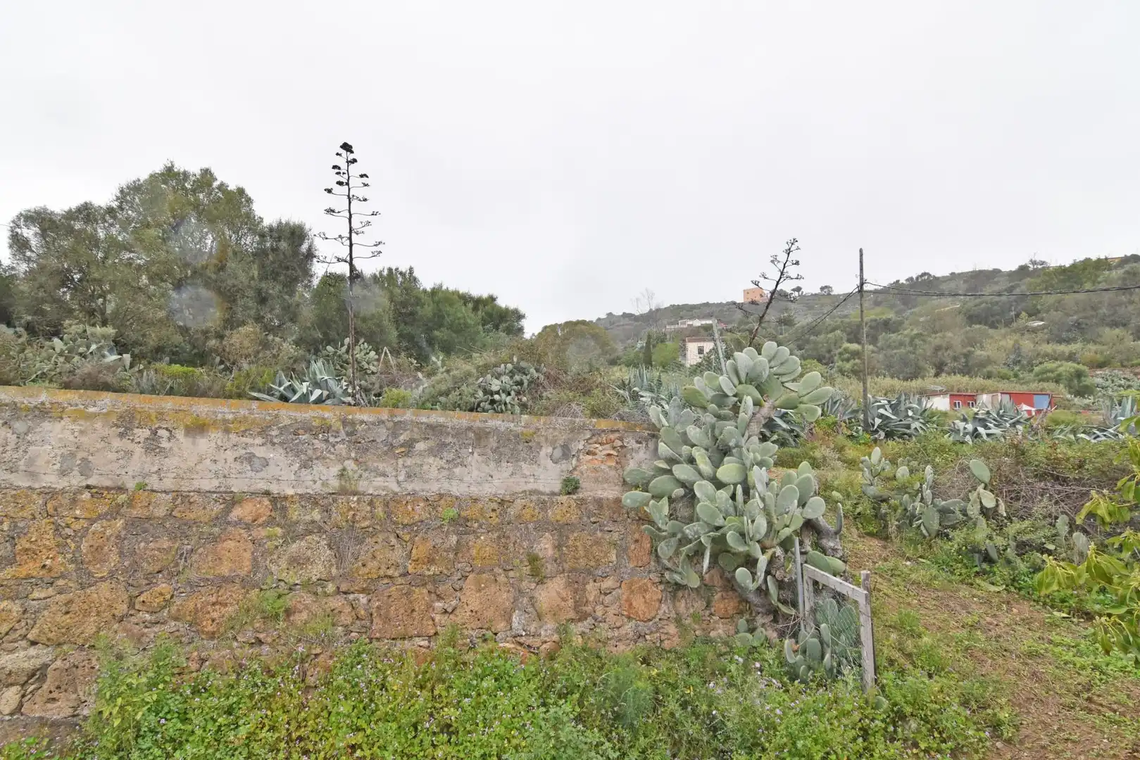 Finca rústica en venta en Camino PINO SANTO BAJO, 2, Portada Verde - Lomo Espino - Guanche