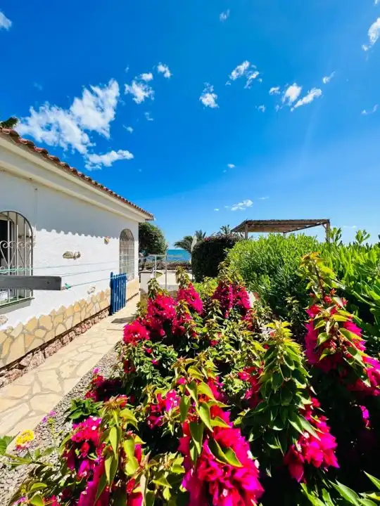 Houses for sale in Platja de Mont-roig