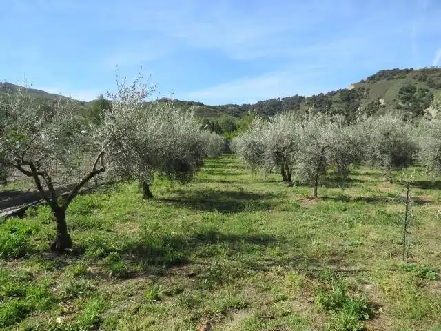 Garden of Land for sale in Cenes de la Vega