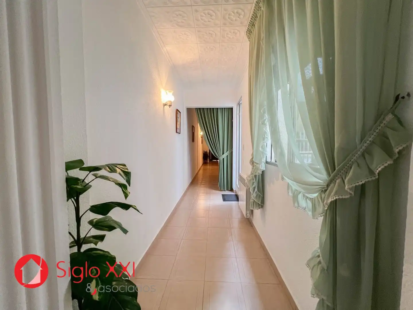 House with terrace for sale in El Pilar, imagen 36