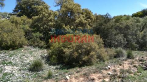 Foto 3 de Finca rústica en venda a Villarrubia de Santiago, Toledo