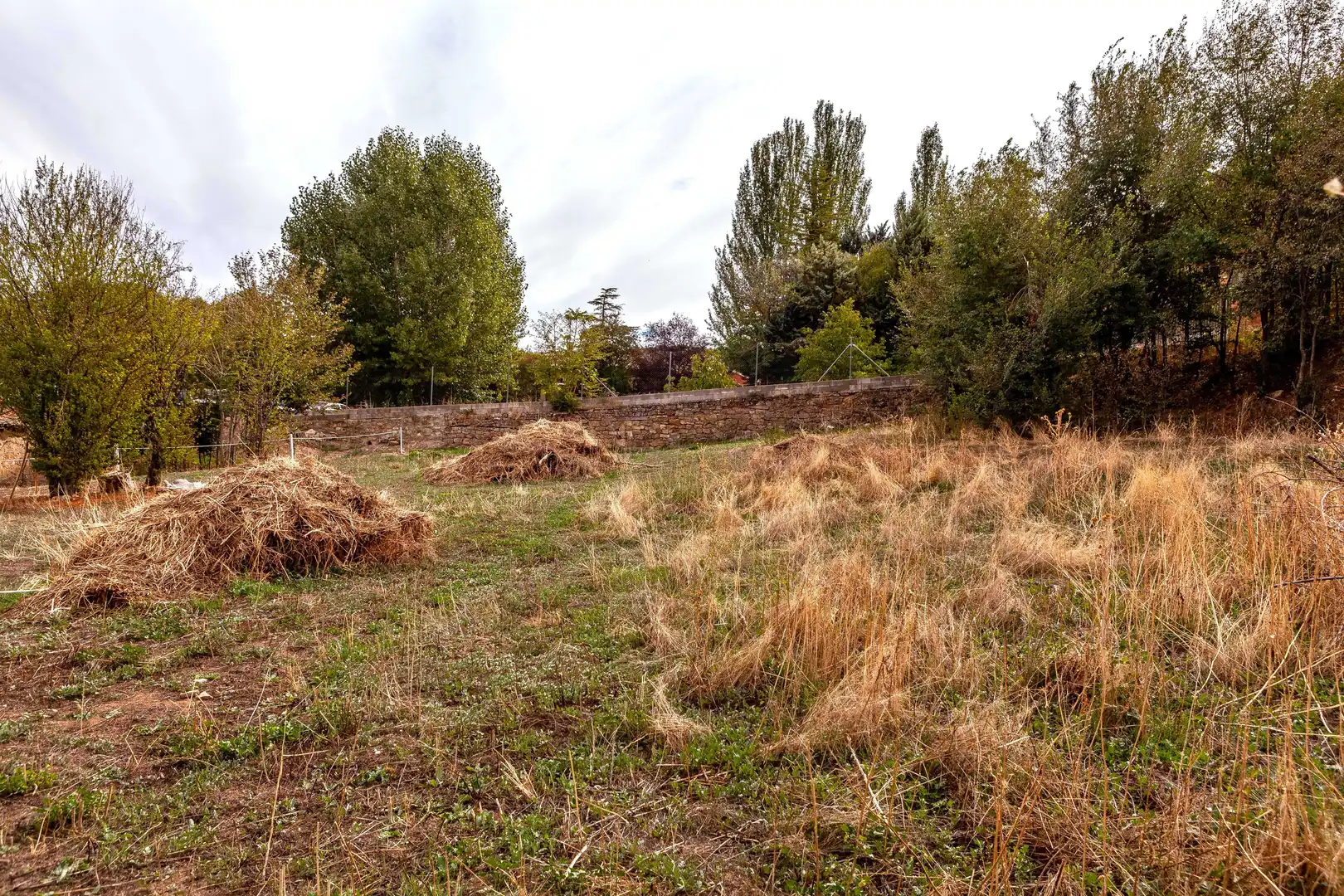 Residential land for sale in Sigüenza, imagen 5