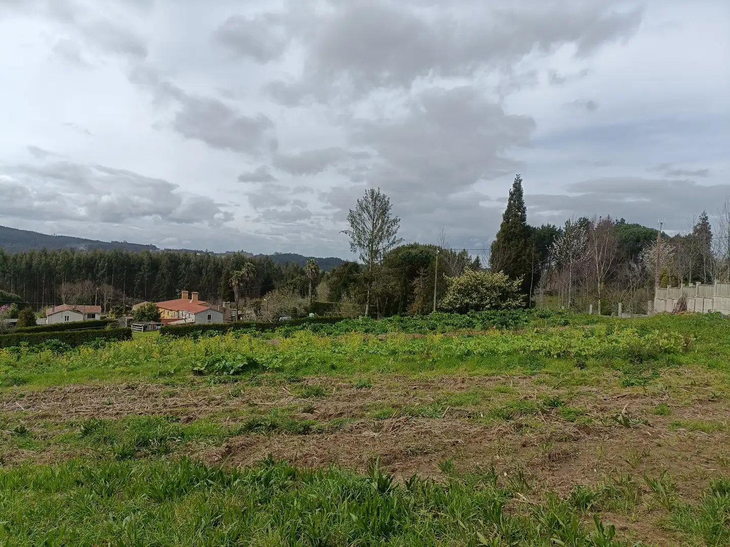Terreni e lotti in vendita a Lugar Castelo, imagen 7