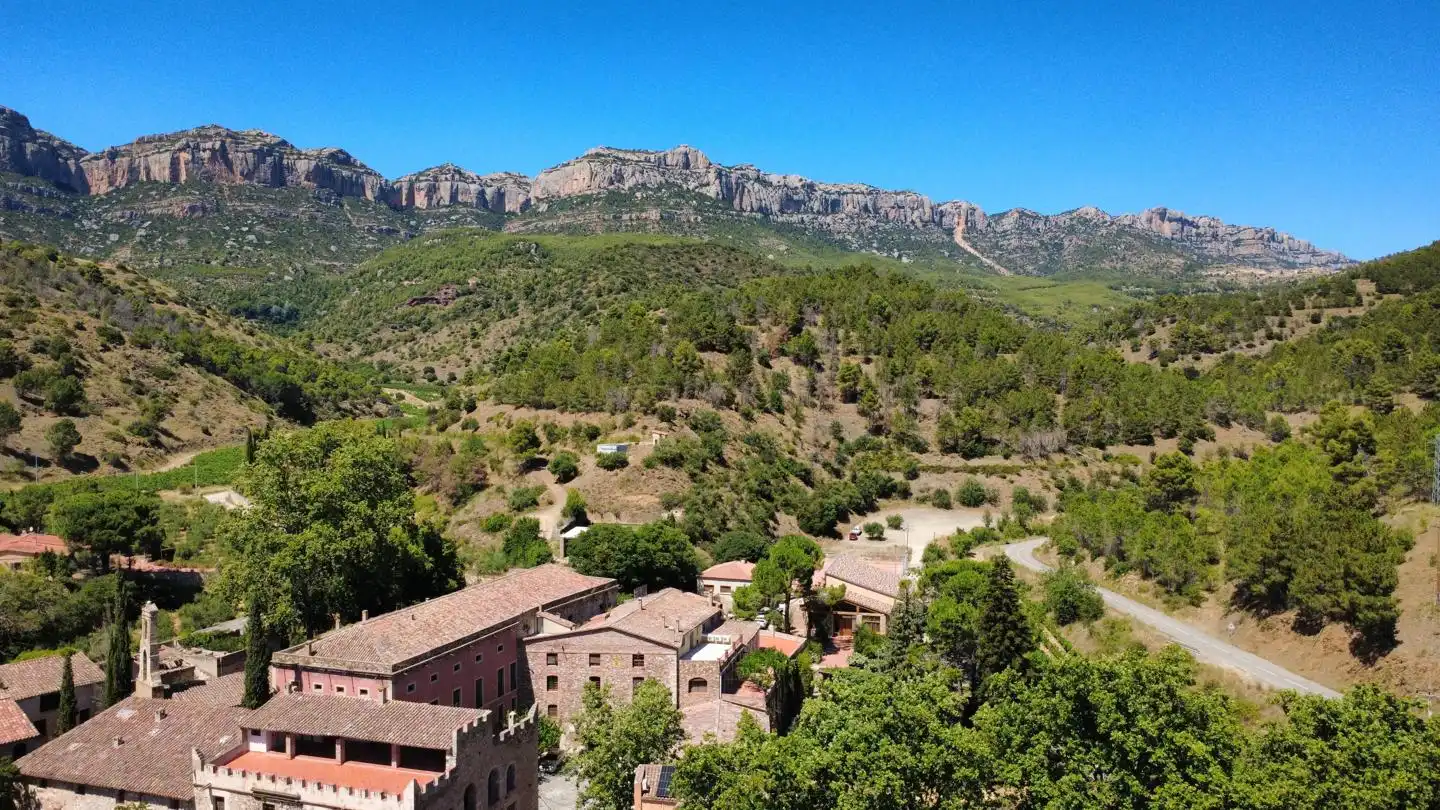 Vista exterior de Finca rústica en venda en La Morera de Montsant