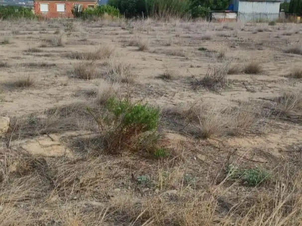 Terreny rústic en venda a Diseminado Carretera Lorca 159, imagen 5