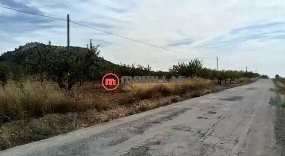 Rural land for sale in Calle de Polígono F 209, imagen 8