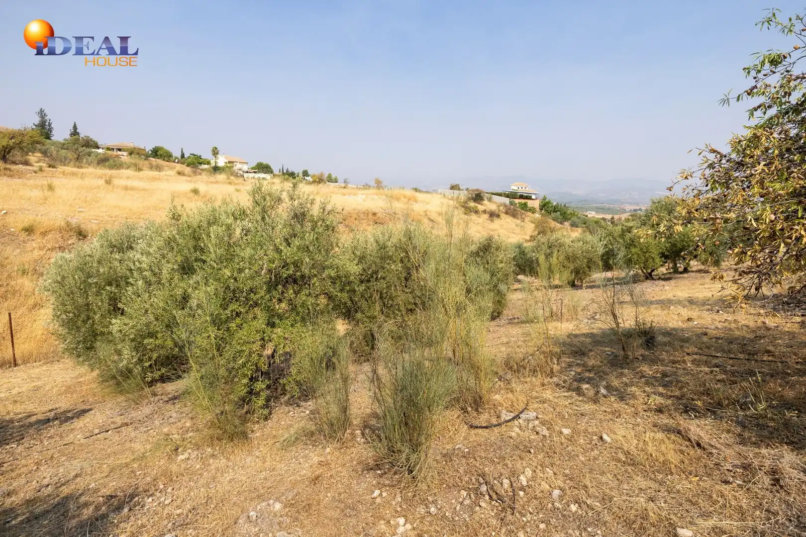 Finca rústica en venta en Moraleda de Zafayona