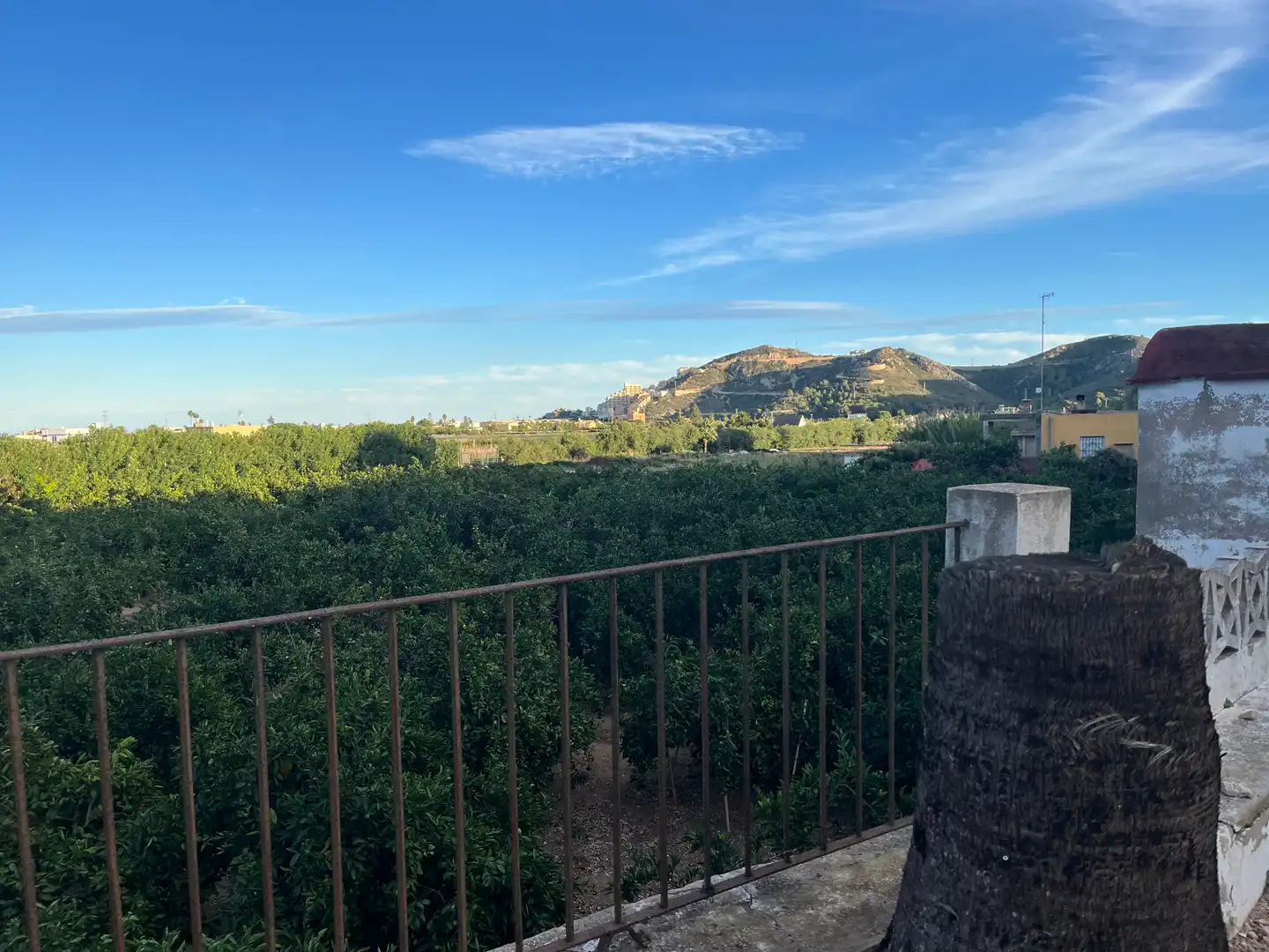 Vista exterior de Finca rústica en venta en Cullera