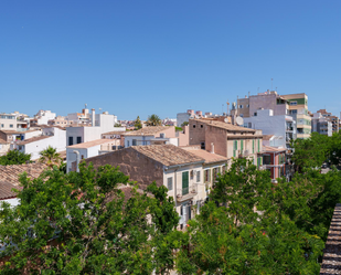 Vista exterior de Apartament en venda en  Palma de Mallorca amb Aire condicionat, Terrassa i Traster