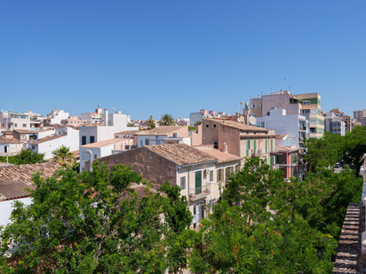 Vista exterior de Apartament en venda en  Palma de Mallorca amb Aire condicionat, Terrassa i Traster